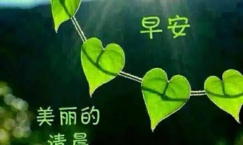 英花片说明书注意事项-英花片几盒一个疗程,中国英花片.说明书网站